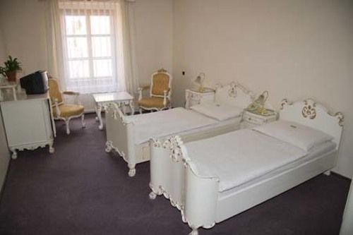 Celerin Hotel Telč